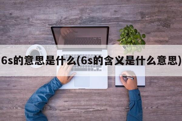 6s的意思是什么(6s的含义是什么意思)