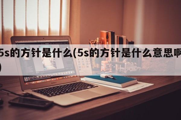 5s的方针是什么(5s的方针是什么意思啊)